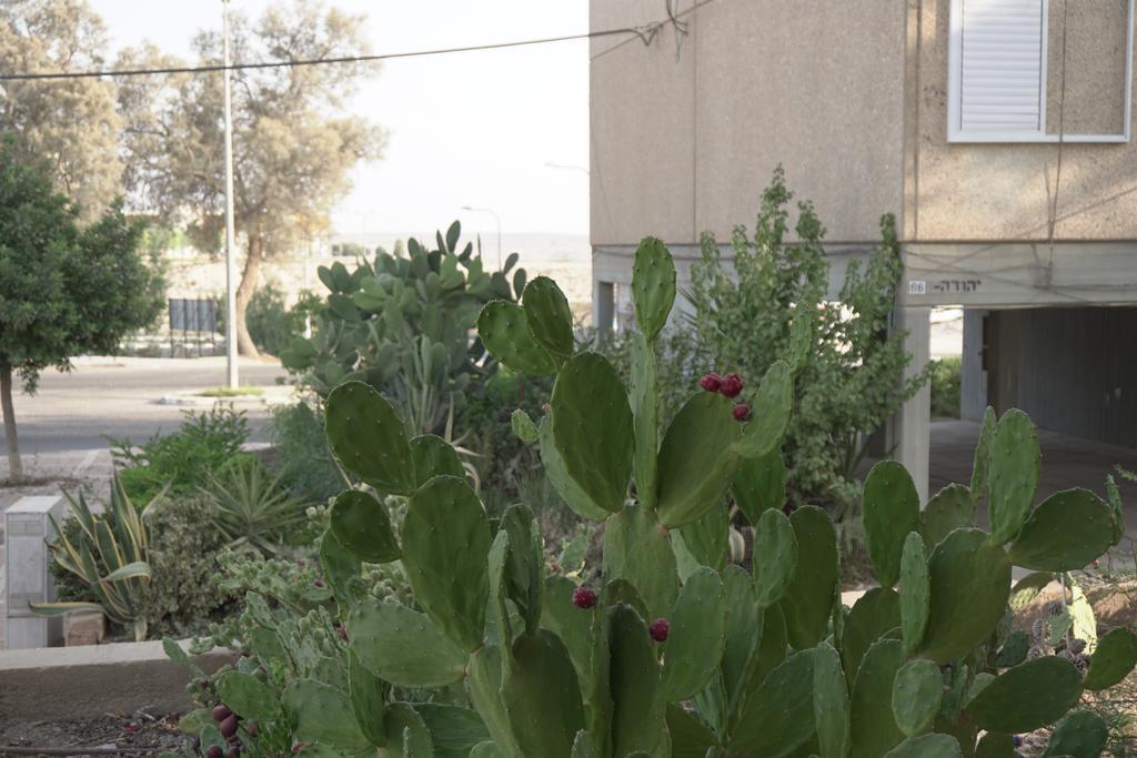 Dead Sea Yehuda Apartments Arad Exterior foto